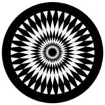 a1009-bw