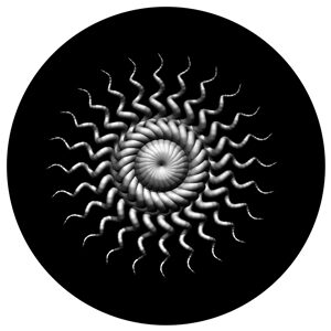 Goboservice - snail-1477