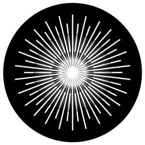 Goboservice - rays-1671