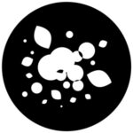 a1157-bw