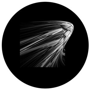 Goboservice - meteor