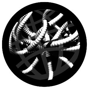 Goboservice - spider