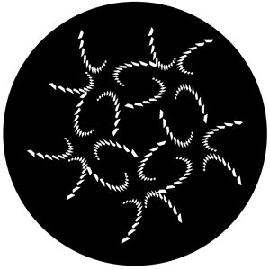 Goboservice - wheel-1763