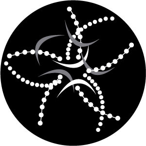 Goboservice - starfish