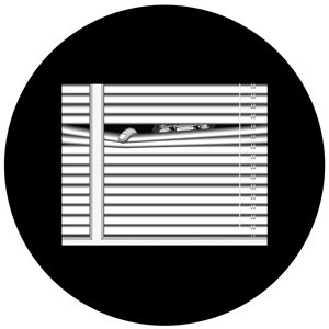 Goboservice - venetian-blinds-for-windows