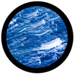 e1007-3c