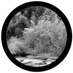 e1008-gs