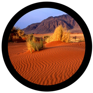 Goboservice - desert