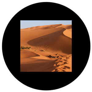 Goboservice - desert-1864