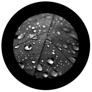 Goboservice - dew-drops