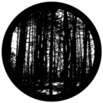 f1003-bw