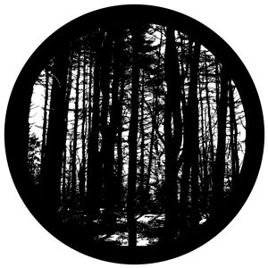 Goboservice - trees-woodsforest-5948