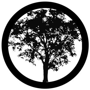 Goboservice - trees-2827