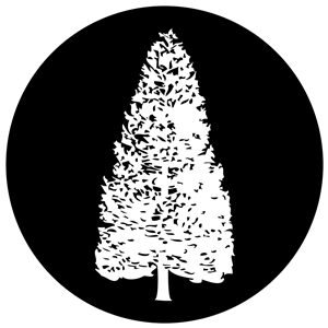 Goboservice - trees-2829