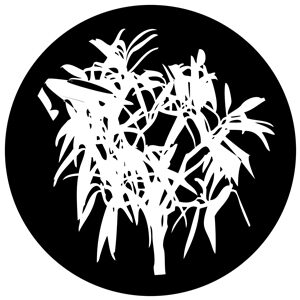 Goboservice - trees-2833