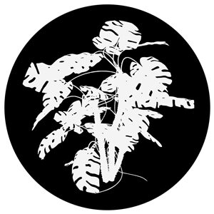 Goboservice - leaves-2807
