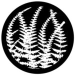 f1016-bw