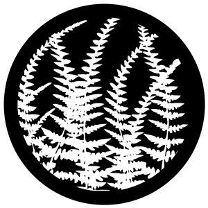 Goboservice - leaves-2808