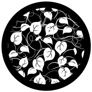 Goboservice - leaves-2809