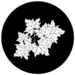 f1023-bw