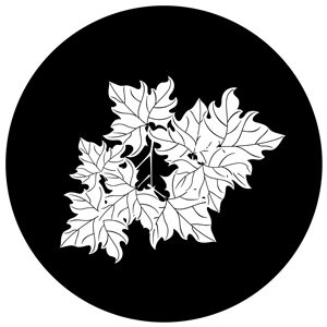Goboservice - leaves-2812
