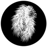 f1024-bw