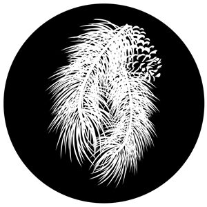 Goboservice - leaves-2813