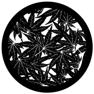 Goboservice - palms-2023
