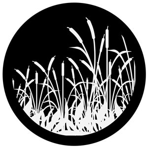 Goboservice - marsh-vegetation