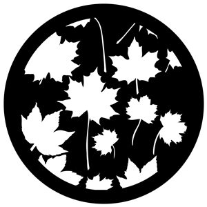 Goboservice - leaves-2814