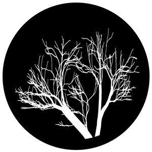 Goboservice - trees-2837