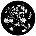 f1035-bw