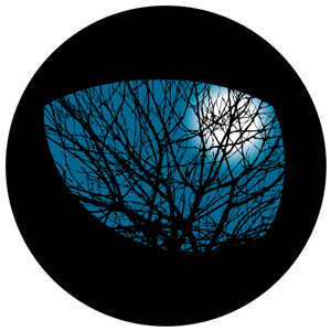 Goboservice - branches-trees-1922