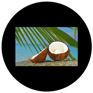 Goboservice - coconut-fruit