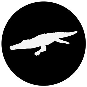 Goboservice - crocodiles