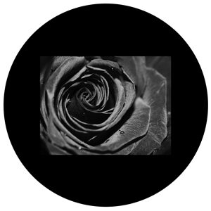 Goboservice - rose-flowers