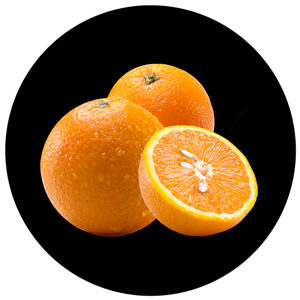 Goboservice - fruit-oranges