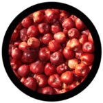 f1067-fc