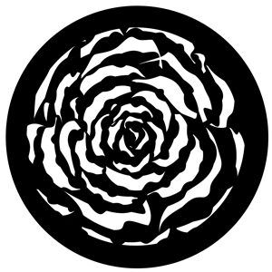 Goboservice - rose-flowers-1898