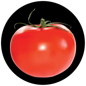 Goboservice - tomatoes