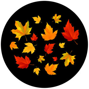 Goboservice - leaves-2820
