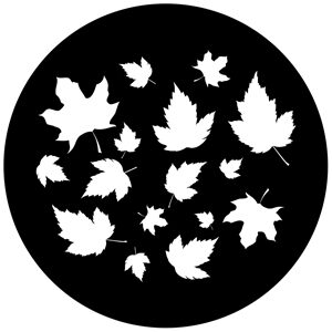 Goboservice - leaves-2821