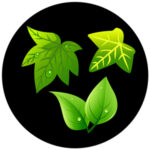 f1075-2c