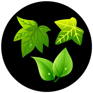 Goboservice - leaves-2822