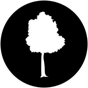 Goboservice - trees-2839