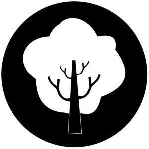 Goboservice - trees-2840