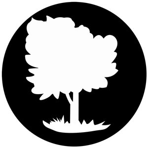 Goboservice - trees-2841