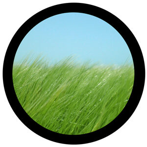 Goboservice - grass-1910