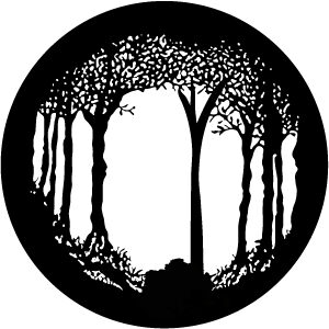 Goboservice - trees-woodsforest-5949