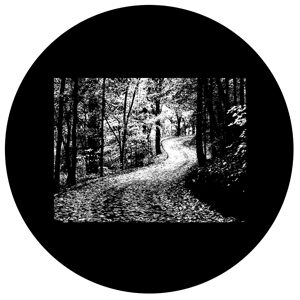 Goboservice - trees-woodsforest-path-2227